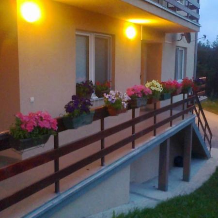 Divčibare Apartments Varga מראה חיצוני תמונה