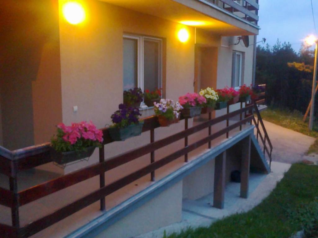 Divčibare Apartments Varga מראה חיצוני תמונה